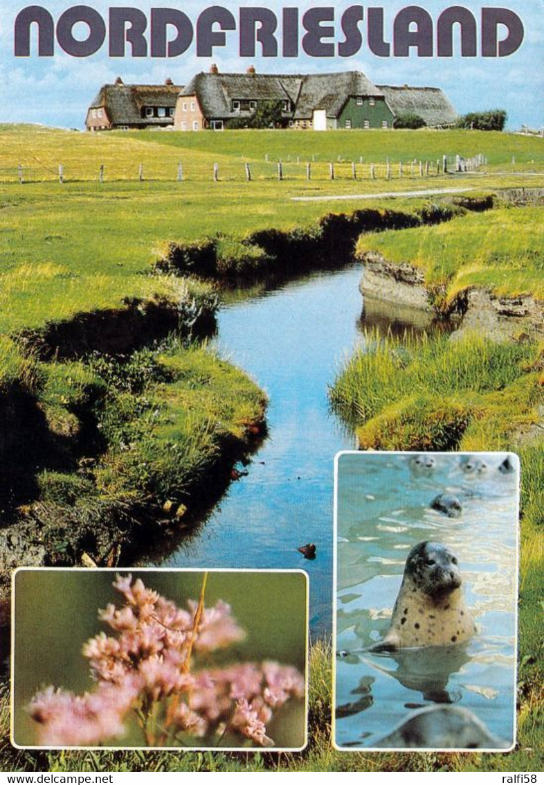 4 AK Germany * Hallig Gröde Im Nationalpark Schleswig-Holsteinisches Wattenmeer Mit Kirchwarft Und Knudswarft * - Halligen