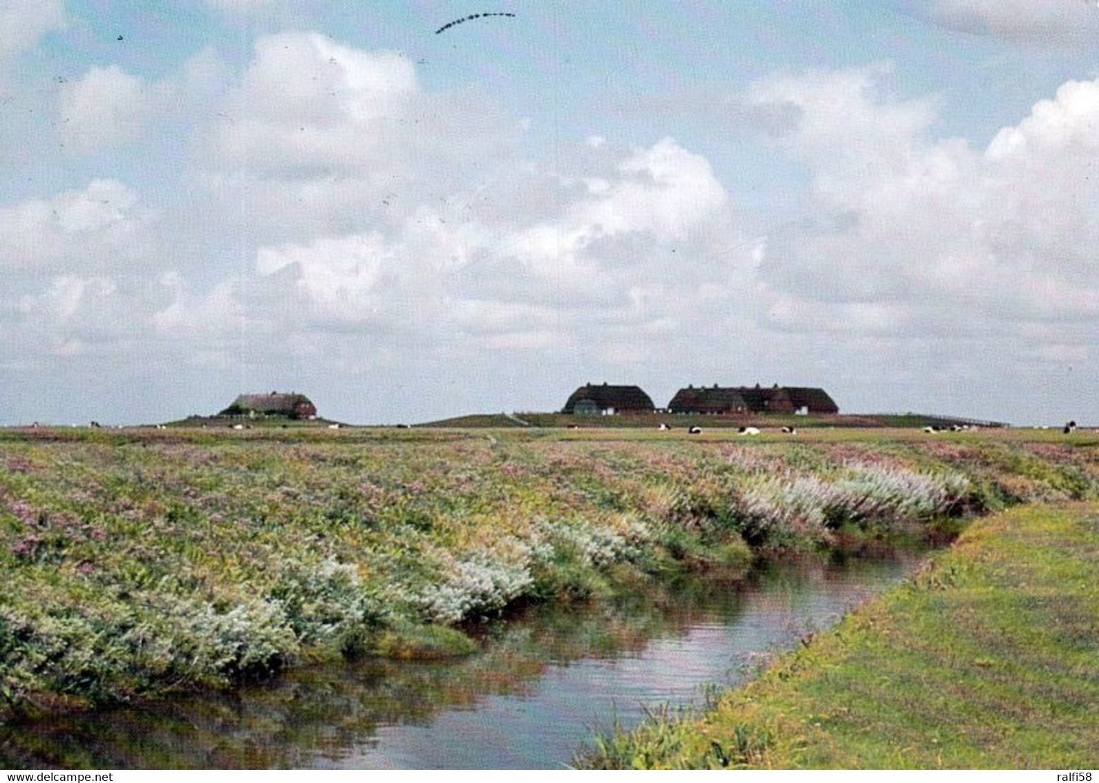 4 AK Germany * Hallig Gröde Im Nationalpark Schleswig-Holsteinisches Wattenmeer Mit Kirchwarft Und Knudswarft * - Halligen