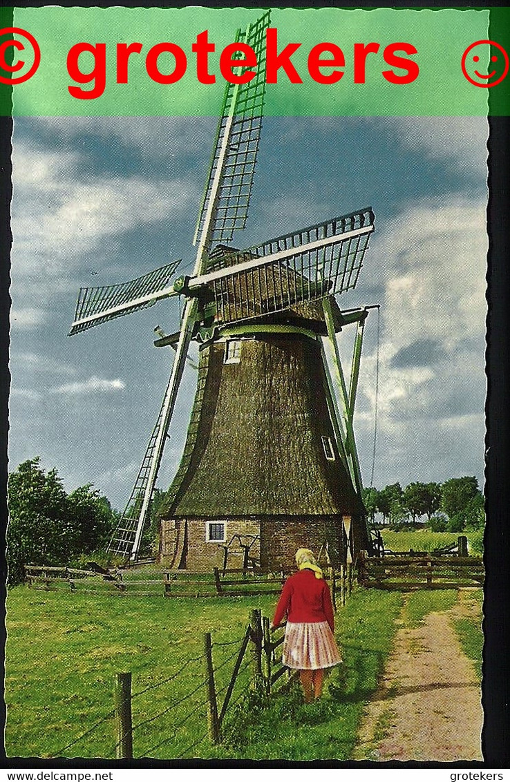 WOLVEGA Molen Aan De Linde Bij De Noordwoldervaart Ca 1960 - Wolvega