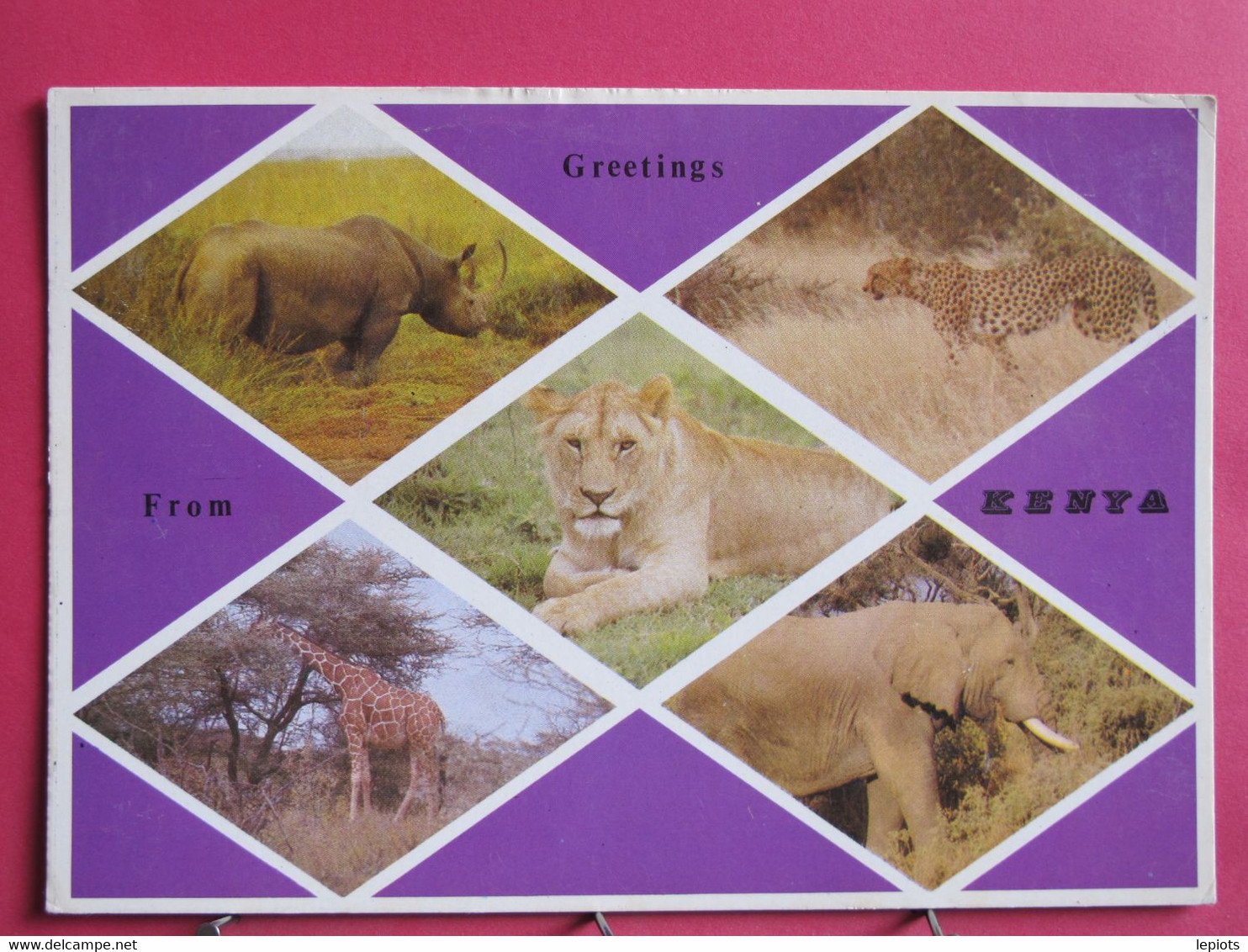 Visuel Très Peu Courant - Greetings From Kenya - Rhinocéros Guépard Lion Girafe Eléphant - R/verso - Kenya