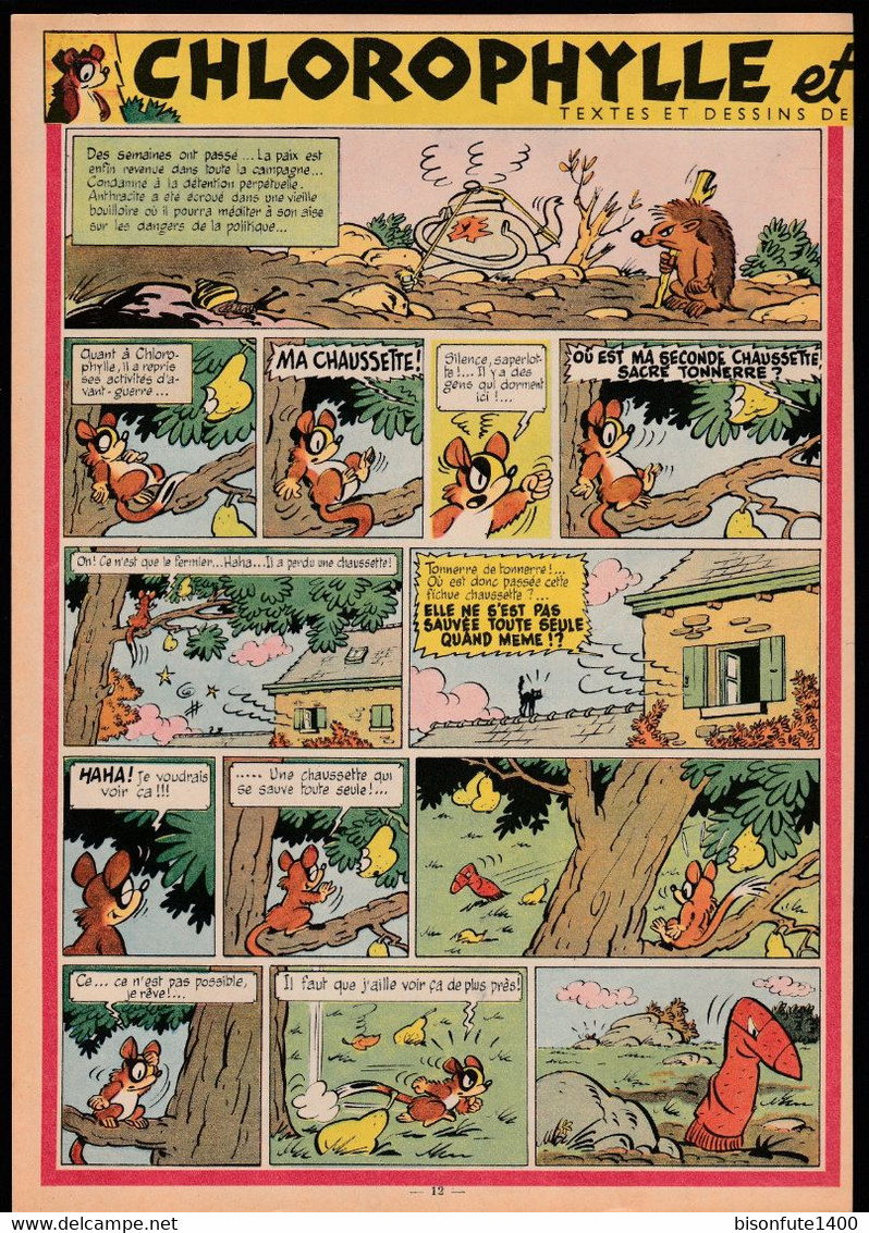 Bandeau Titre De Chlorophylle "Chlorophylle Et Les Conspirateurs " Datant De 1954 Et Inédit Dans Les B.D. En Album. - Chlorophylle