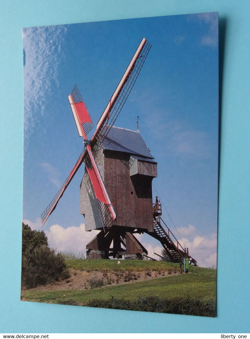 KATTEMOLEN - MOULIN Du CAT SAUVAGE Ellezelles / ELZELE ( Foto John Verpaalen ) Anno 19?? ( Zie / Voir Photo ) ! - Ellezelles