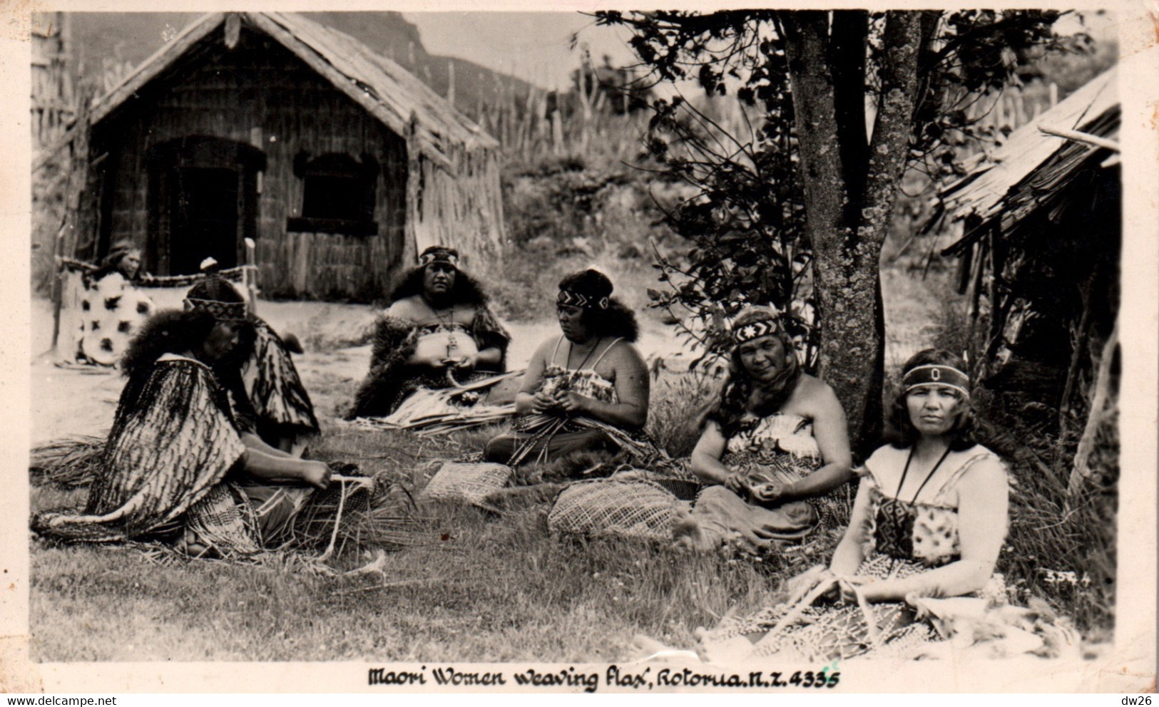 Nouvelle-Zélande - (Femmes) Maori Women Weaving Flax, Rotorua N.Z. - Carte-photo N° 4335 - Nouvelle-Zélande