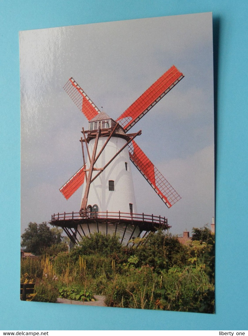 Van BUTSELE'S MOLEN > WEVELGEM ( Foto John Verpaalen ) Anno 19?? ( Zie / Voir Photo ) Moulin / Mill / Mühle ! - Wevelgem