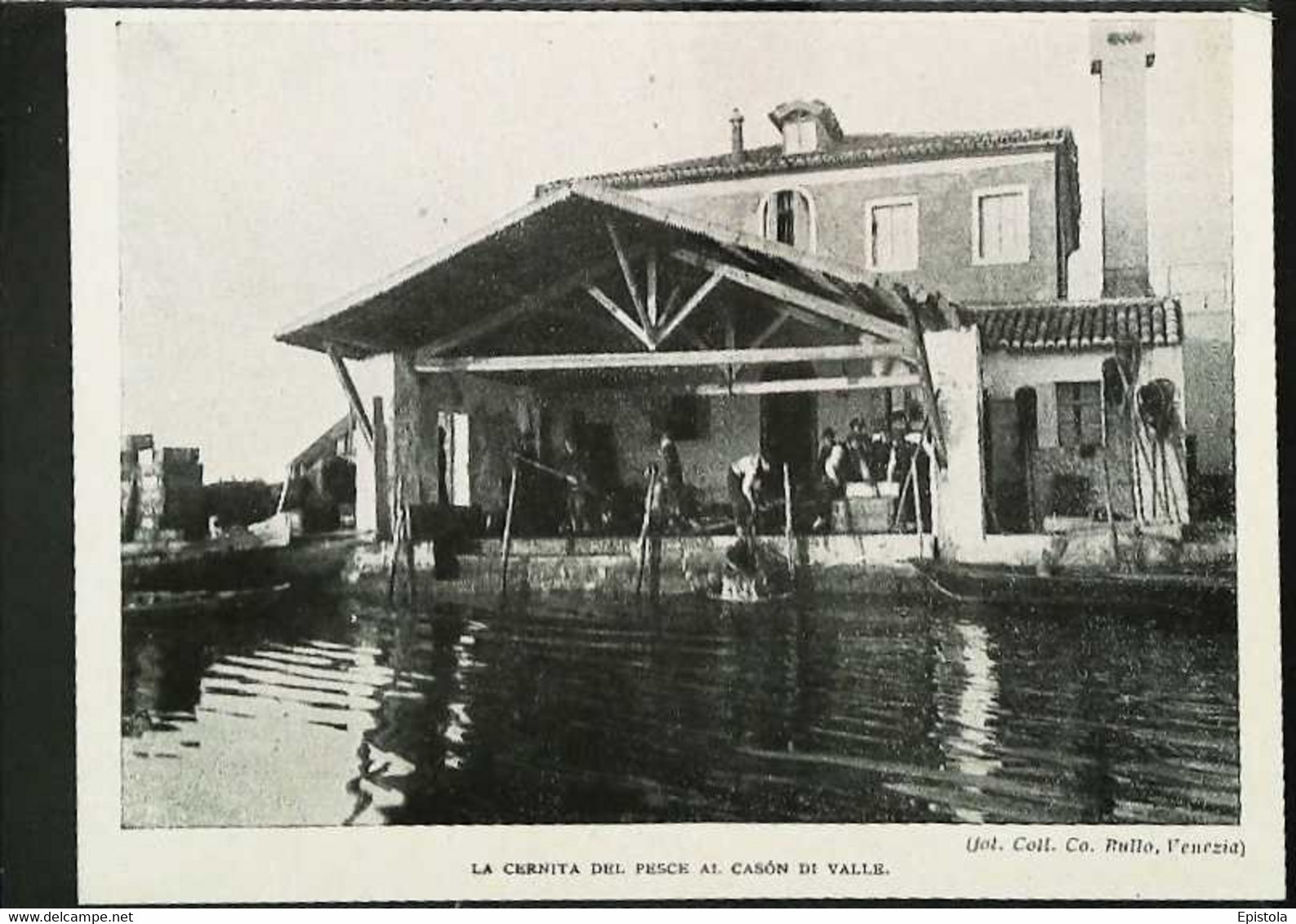 ► (1929) CHIOGGIA - Cernita Del Pesce  - Coupure De Presse Italienne   Originale (Encart Photo) - Historische Dokumente