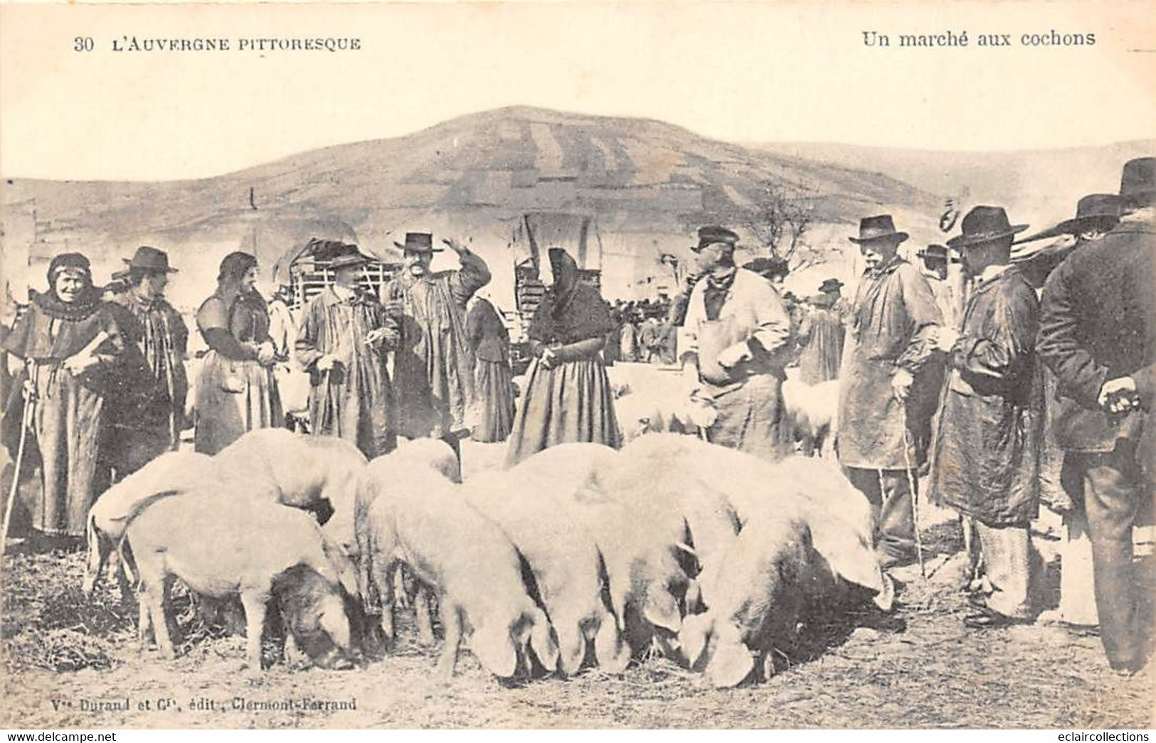 Divers Auvergne Pittoresque       63       Un Marché Aux Cochons       N° 30 (voir Scan) - Auvergne Types D'Auvergne