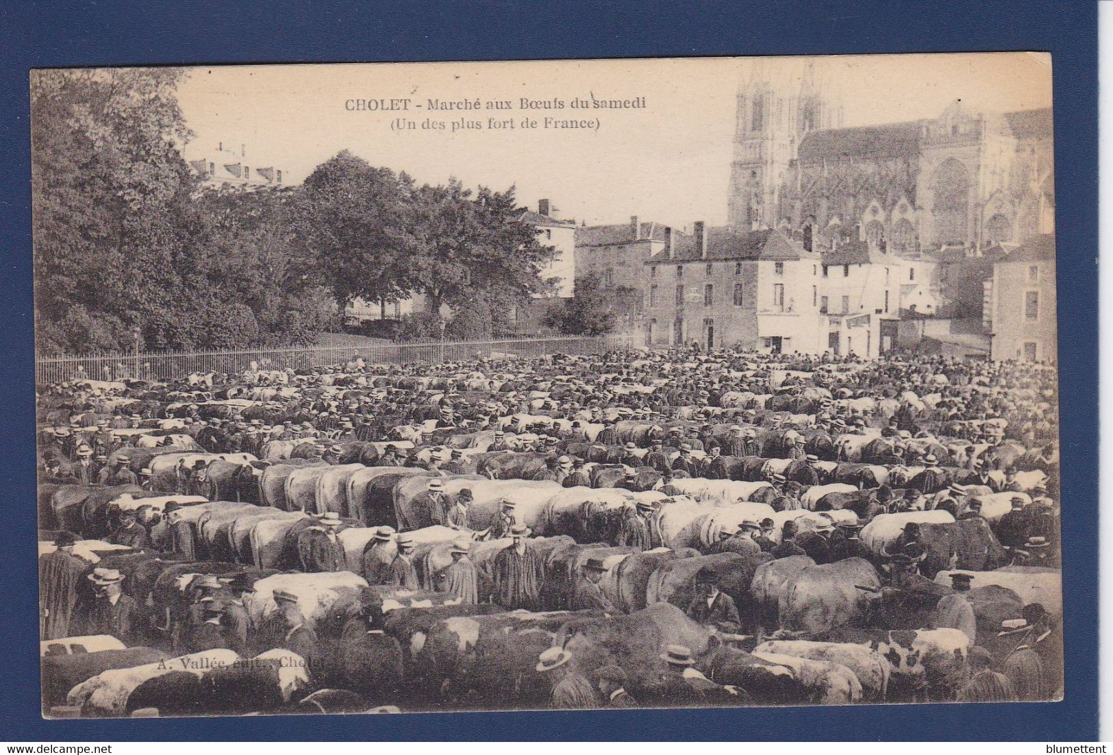 CPA [49] Maine Et Loire > Cholet Non Circulé Marché Market - Cholet