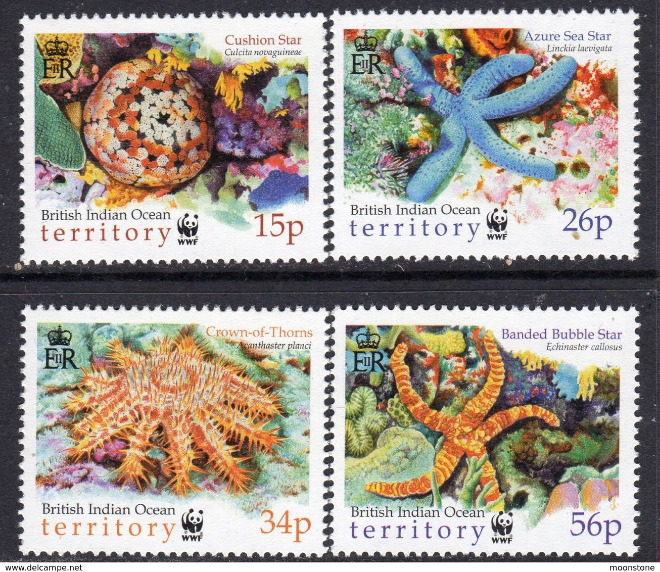 British Indian Ocean Territory BIOT 2001 Sea Stars Marine Life Set Of 4, MNH, SG 253/6 (A) - British Indian Ocean Territory (BIOT)