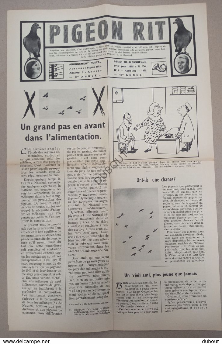 Colombophilie - Pigeon Rit - Journal 1965   (V458) - Animaux