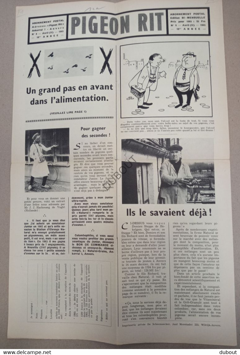 Colombophilie - Pigeon Rit - Journal 1965   (V458) - Animaux