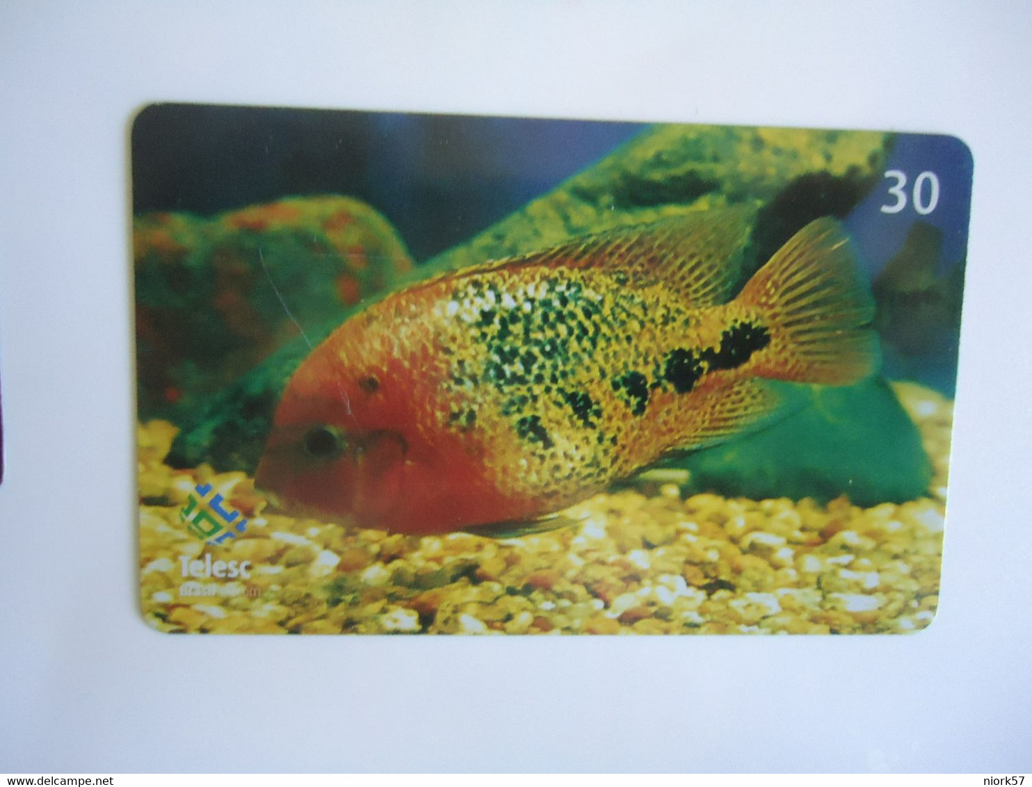 BRAZIL USED CARDS FISH FISHES MARINE LIFE - Peces