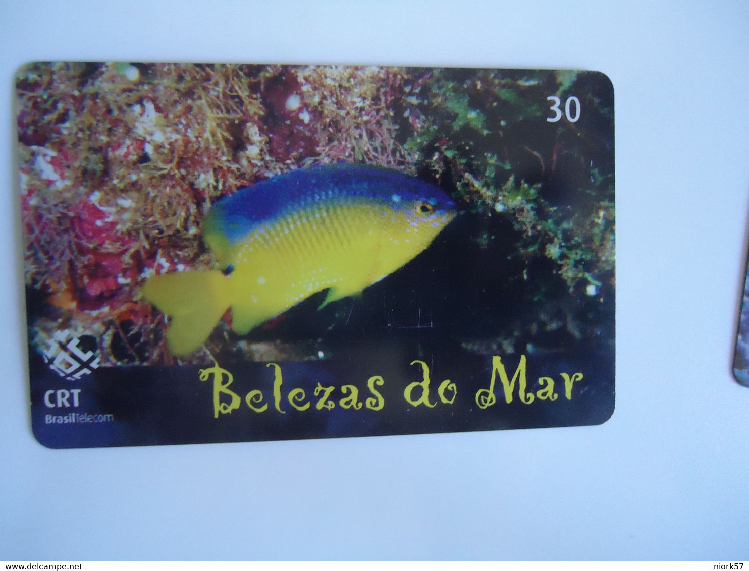 BRAZIL USED CARDS FISH FISHES MARINE LIFE - Poissons