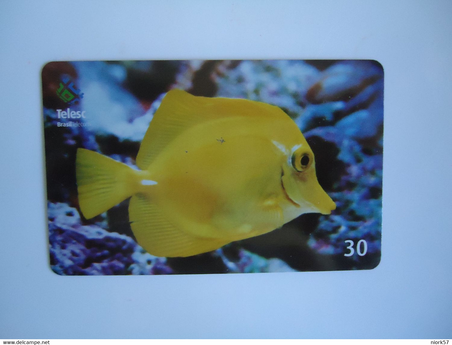 BRAZIL USED CARDS FISH FISHES MARINE LIFE - Poissons