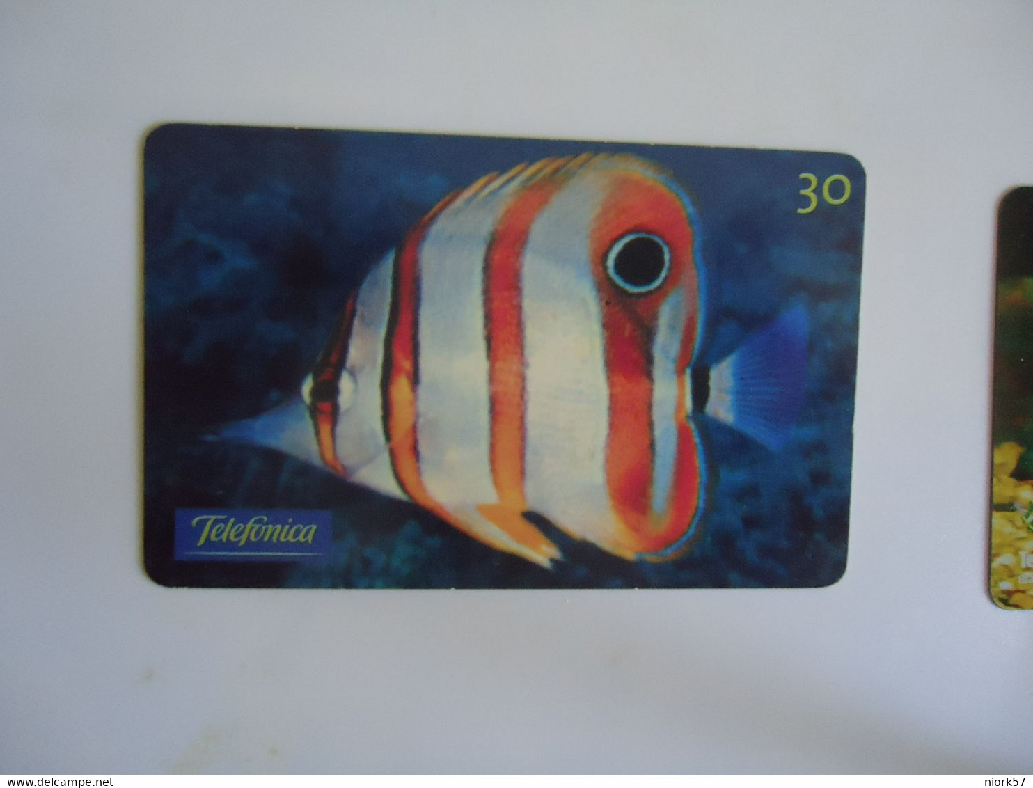 BRAZIL USED CARDS FISH FISHES MARINE LIFE - Peces