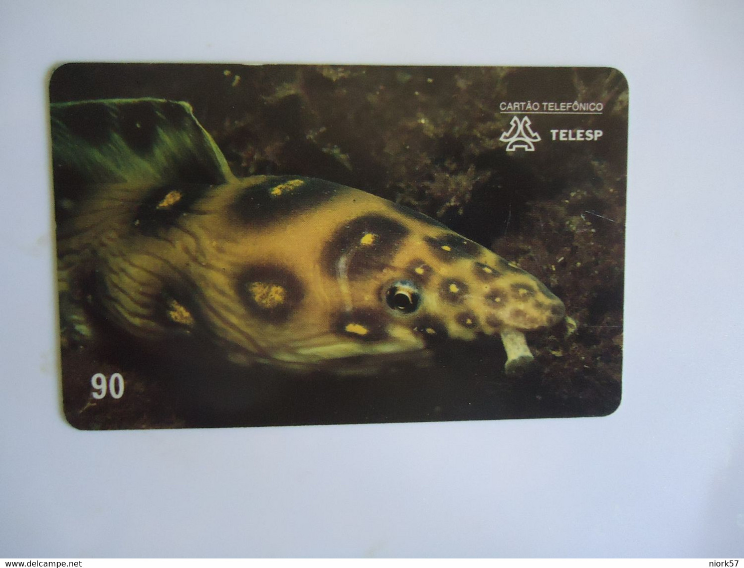 BRAZIL USED CARDS FISH FISHES MARINE LIFE - Poissons