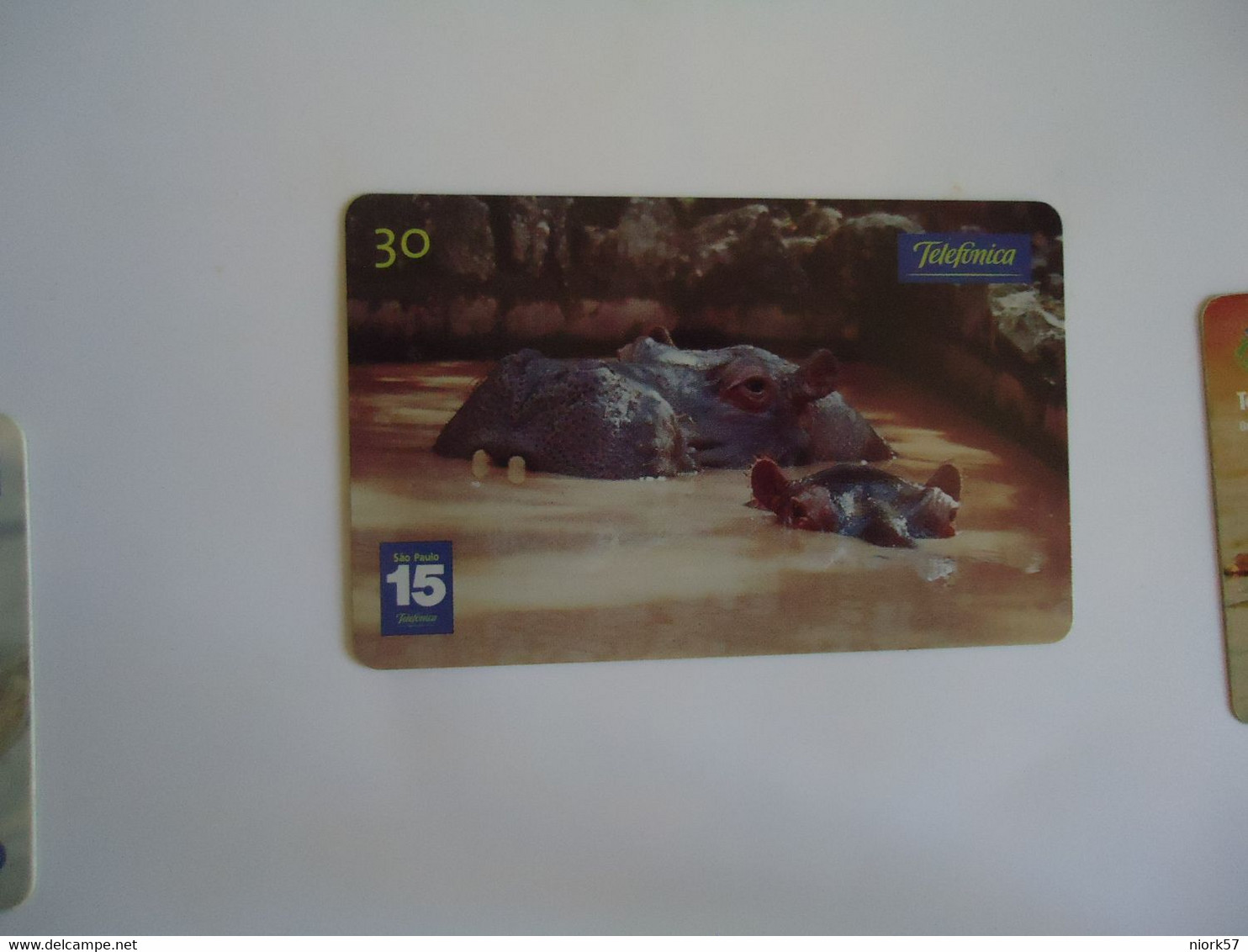 BRAZIL USED CARDS ANIMALS CROCODILES - Cocodrilos Y Aligatores