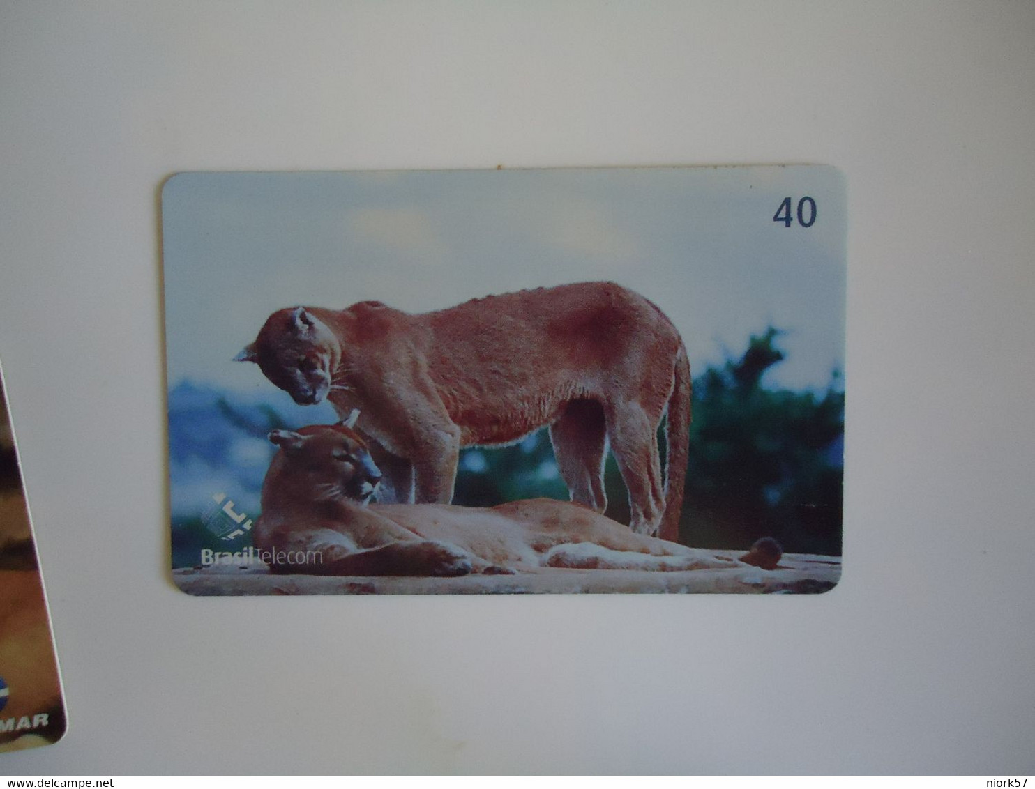 BRAZIL USED CARDS ANIMALS  LIONS - Cocodrilos Y Aligatores