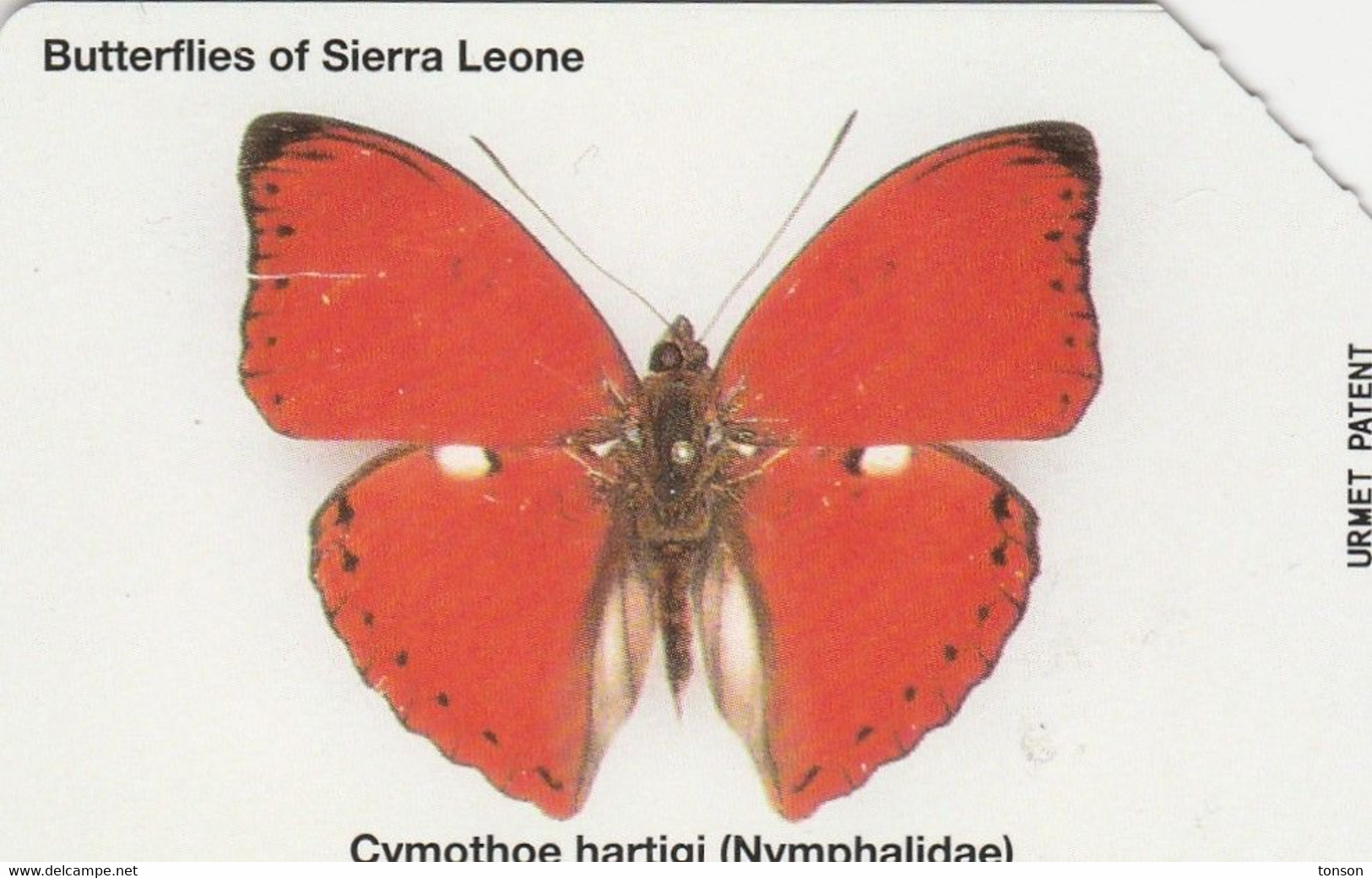 Sierra Leone, SRL-10, Cymothoe Hartigi, Butterfly, 2 Scans. - Farfalle