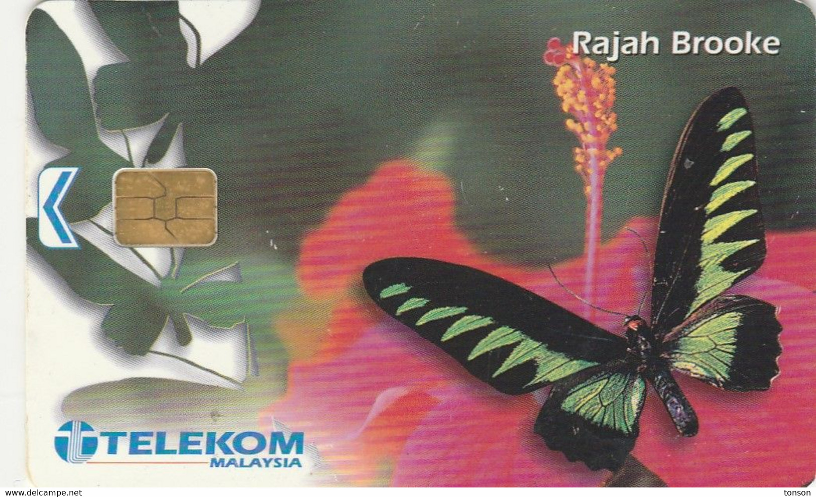 Malaysia, MLS-C-AW, Butterflies, Rajah Brooke, 2 Scans.   AW - Small Chip Type - Butterflies