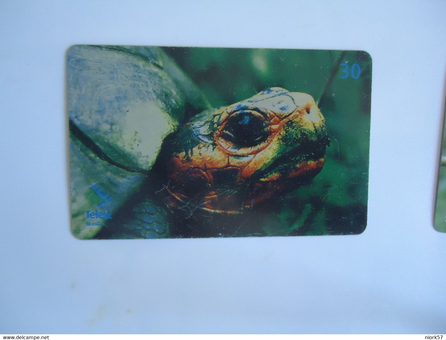 BRAZIL USED CARDS ANIMALS TURTLES - Tartarughe