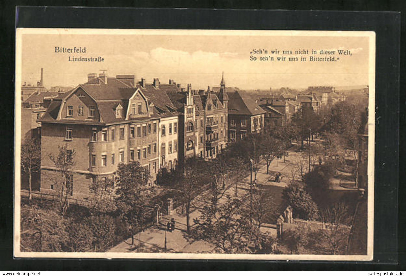 AK Bitterfeld, Wohnhäuser An Der Lindenstrasse - Bitterfeld