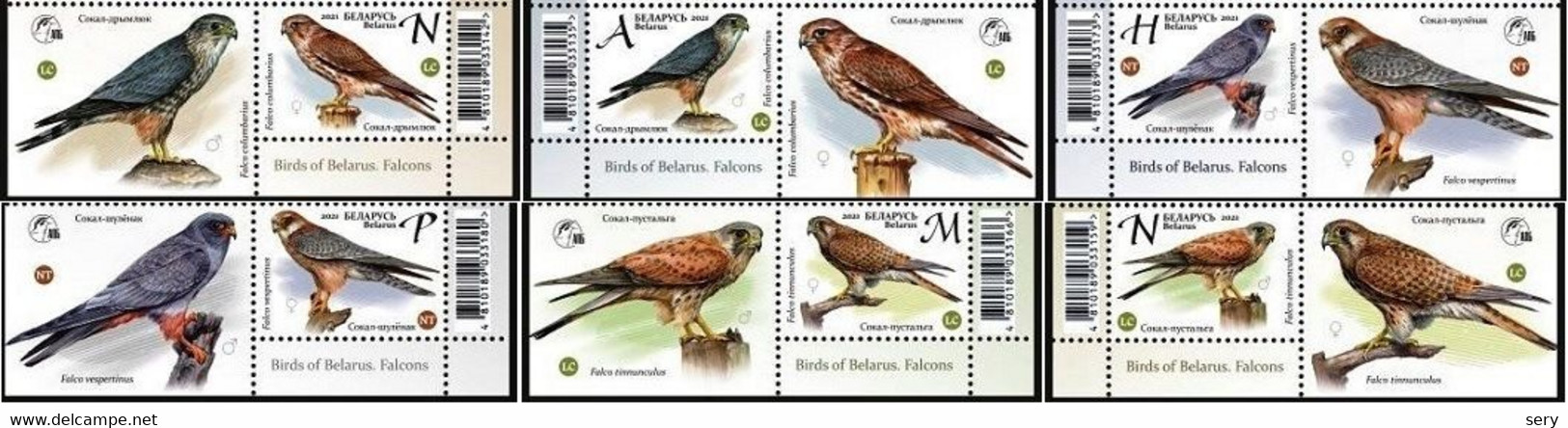 Belarus 2021 Set 6 V  With Label MNH Falcons Of The Series Birds Of Belarus Falcon Bird Oiseaux Oiseau - Eagles & Birds Of Prey