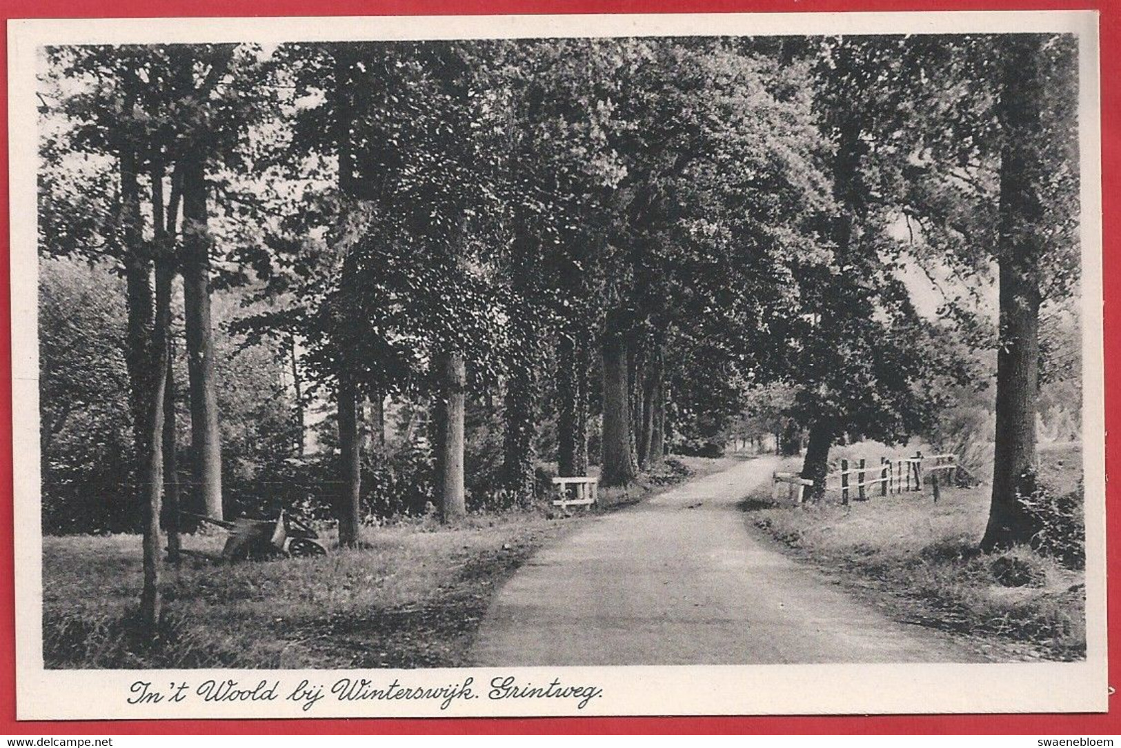 NL.- Winterswijk, In 't Woold, Grintweg. Uitgave Boekhandel G.J. Albrecht. - Winterswijk