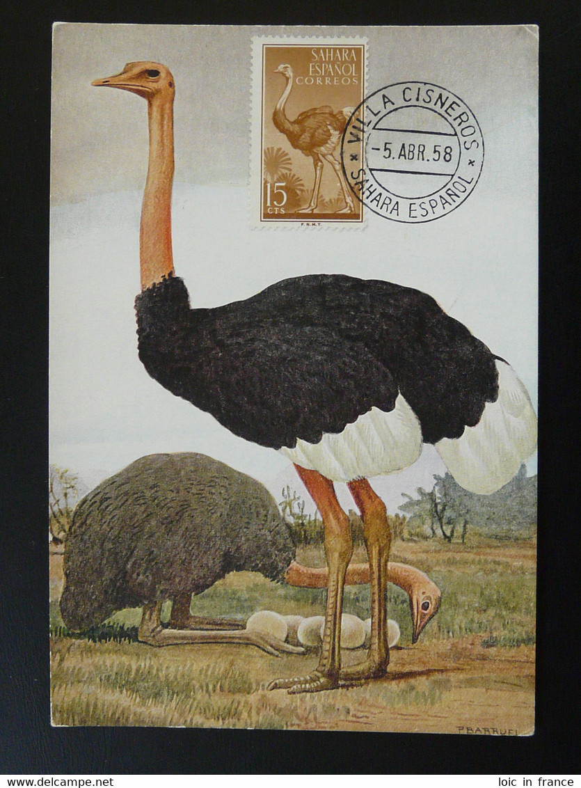 Carte Maximum Card Autruche Ostrich Sahara Espagnol 1958 - Autruches