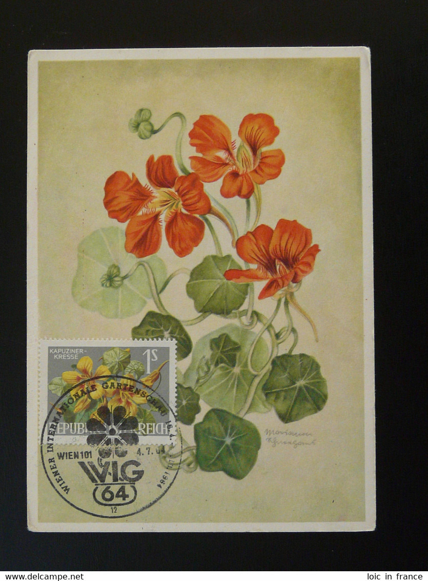 Carte Maximum Card Fleur Capucine Wien Garden Show Autriche Austria 1964 - Otros & Sin Clasificación