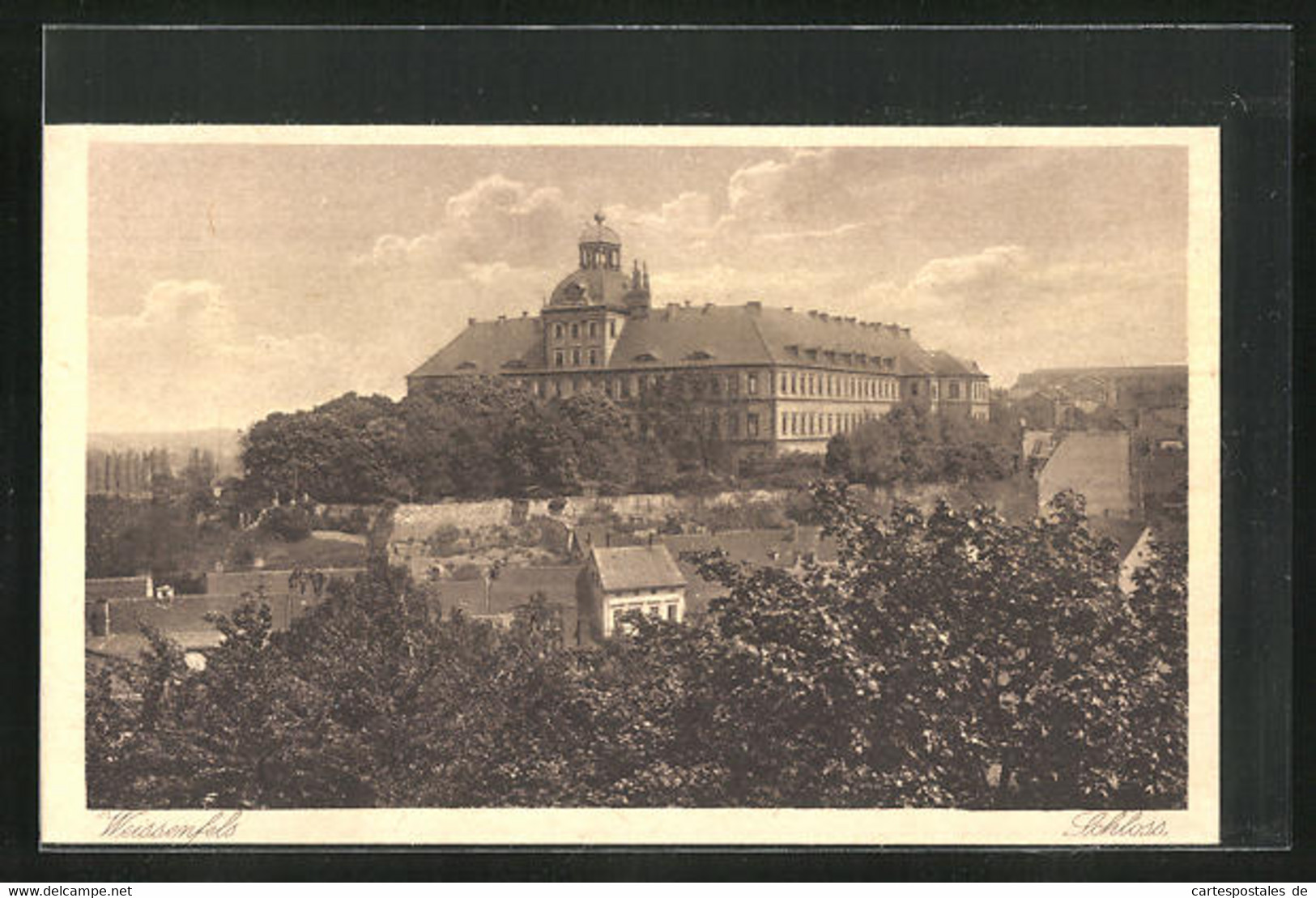 AK Weissenfels, Blick Auf Das Schloss - Weissenfels