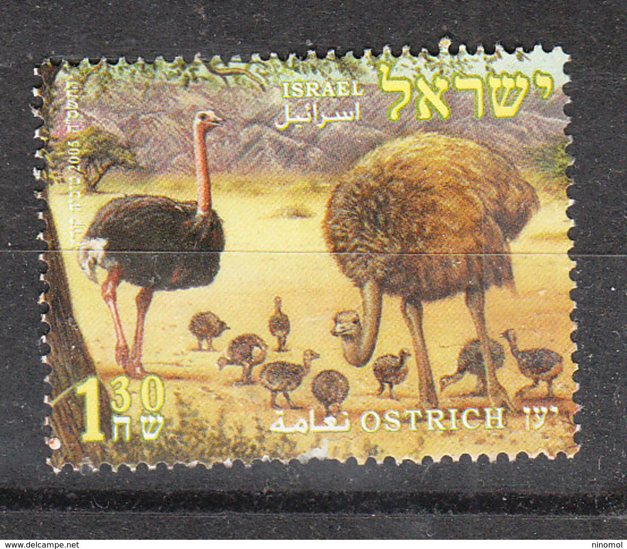 Israele   -   2005. Struzzi.Ostriches - Struzzi