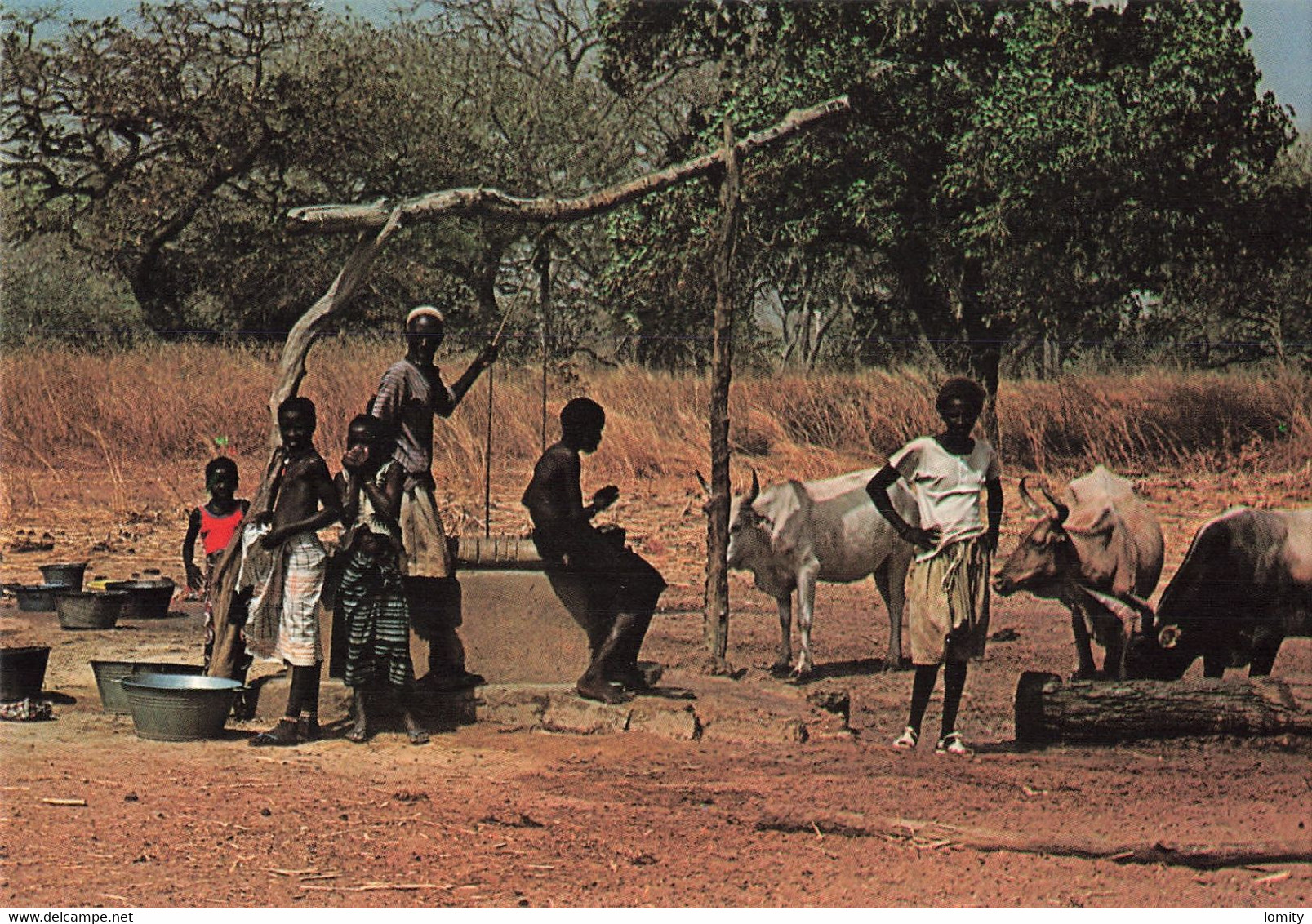 &22 Gambie Gambia Afrique At Village Well Puits - Gambia