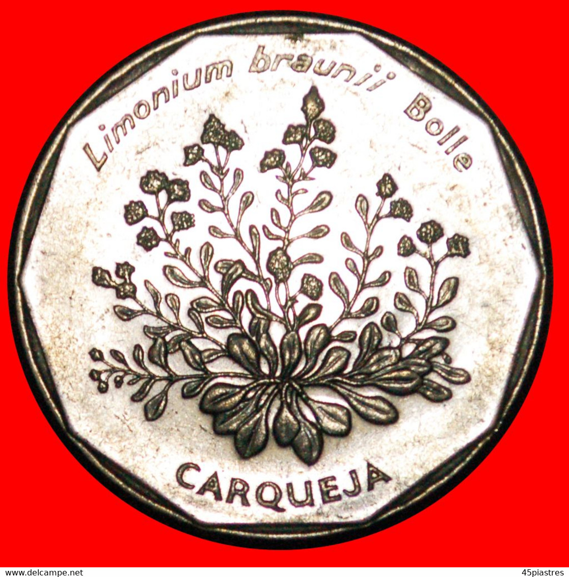 • FLOWER CARQUEJA: CAPE VERDE ★ 20 ESCUDOS 1994! LOW START ★ NO RESERVE! - Kaapverdische Eilanden