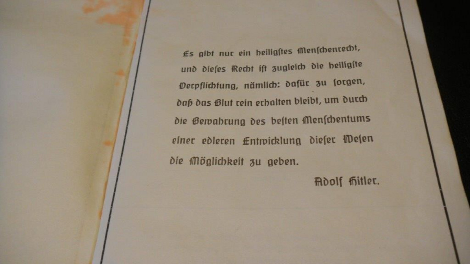 WW2 German Ahnenpass - Documentos