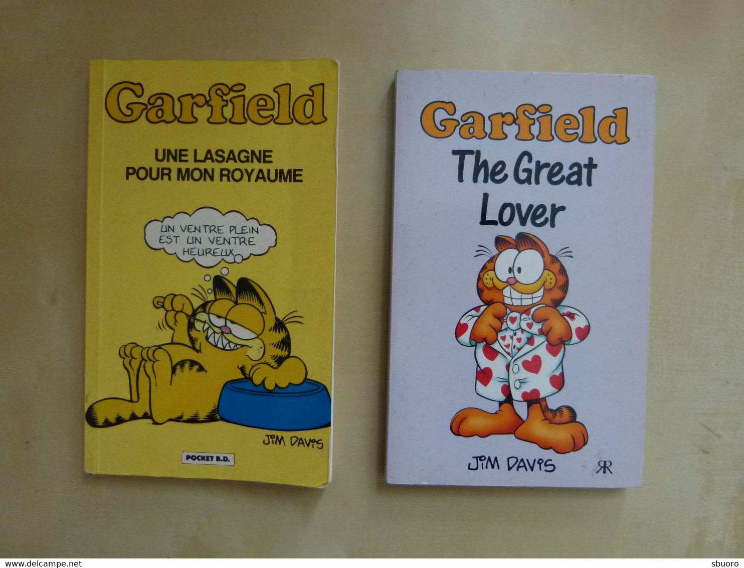 Livres De Poche D'occasion. Garfield, Par Jim Davis. 1 Livre N&B En Anglais, 1 Livre En Couleurs En Français - Wolinski