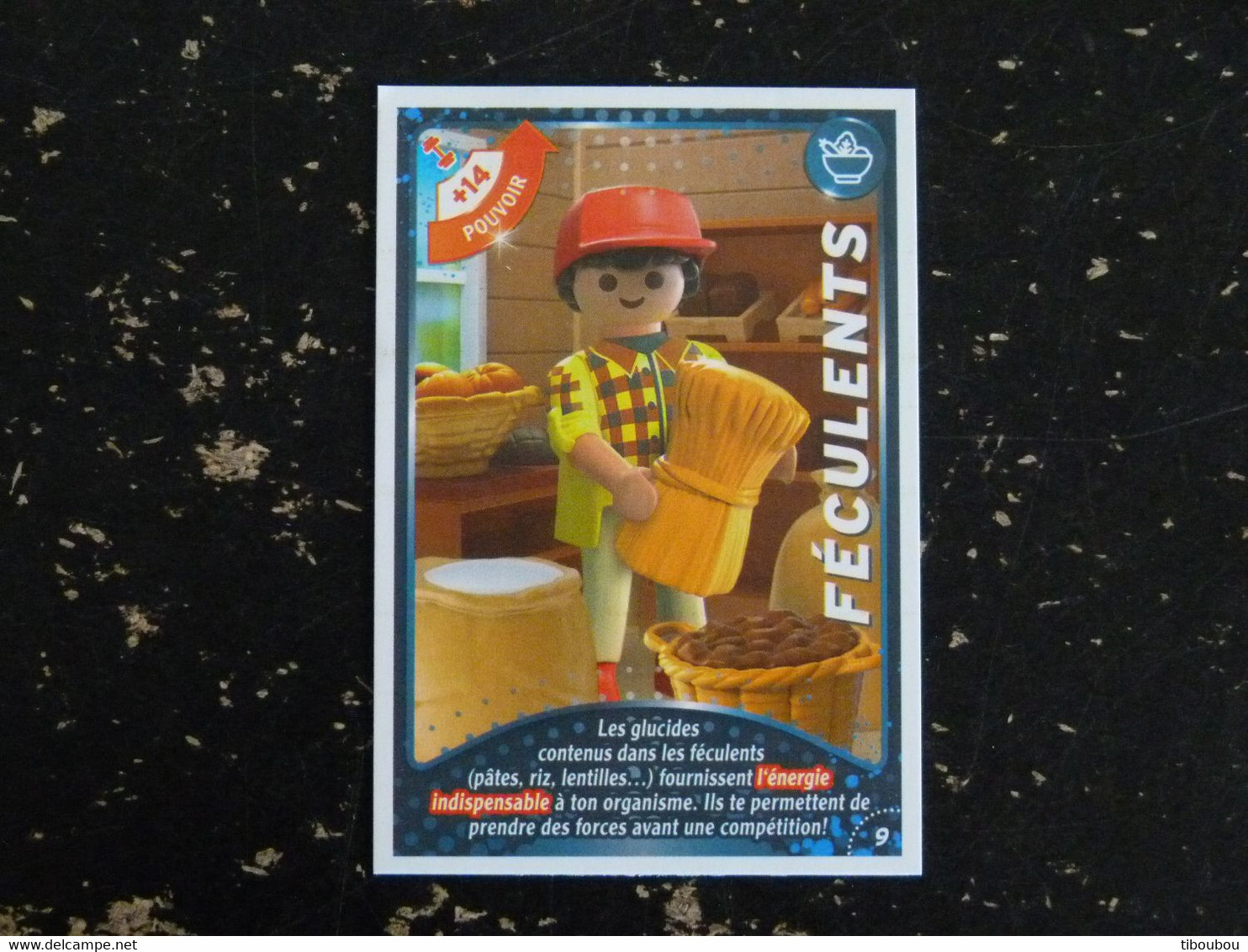 CARTE CARREFOUR PLAYMOBIL N° 09 - FECULENTS - Sonstige & Ohne Zuordnung