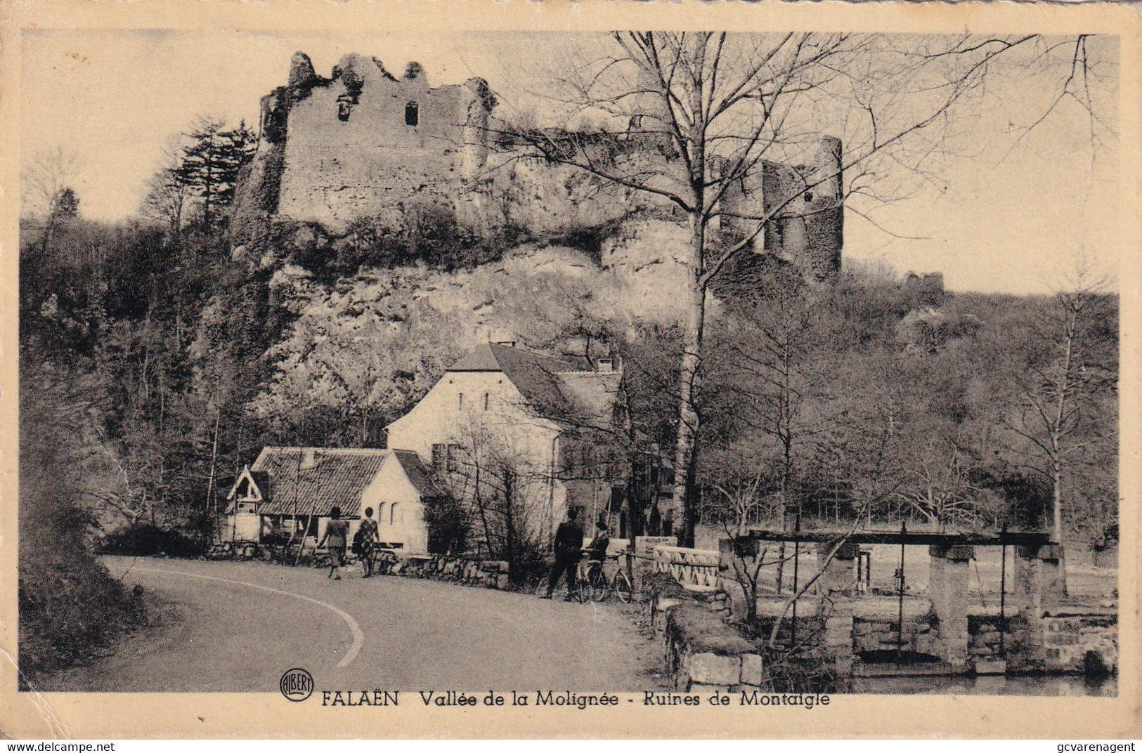 FALAEN  VALLEE DE LA MOLIGNEE  RUINES DE MONTAGNE - Onhaye