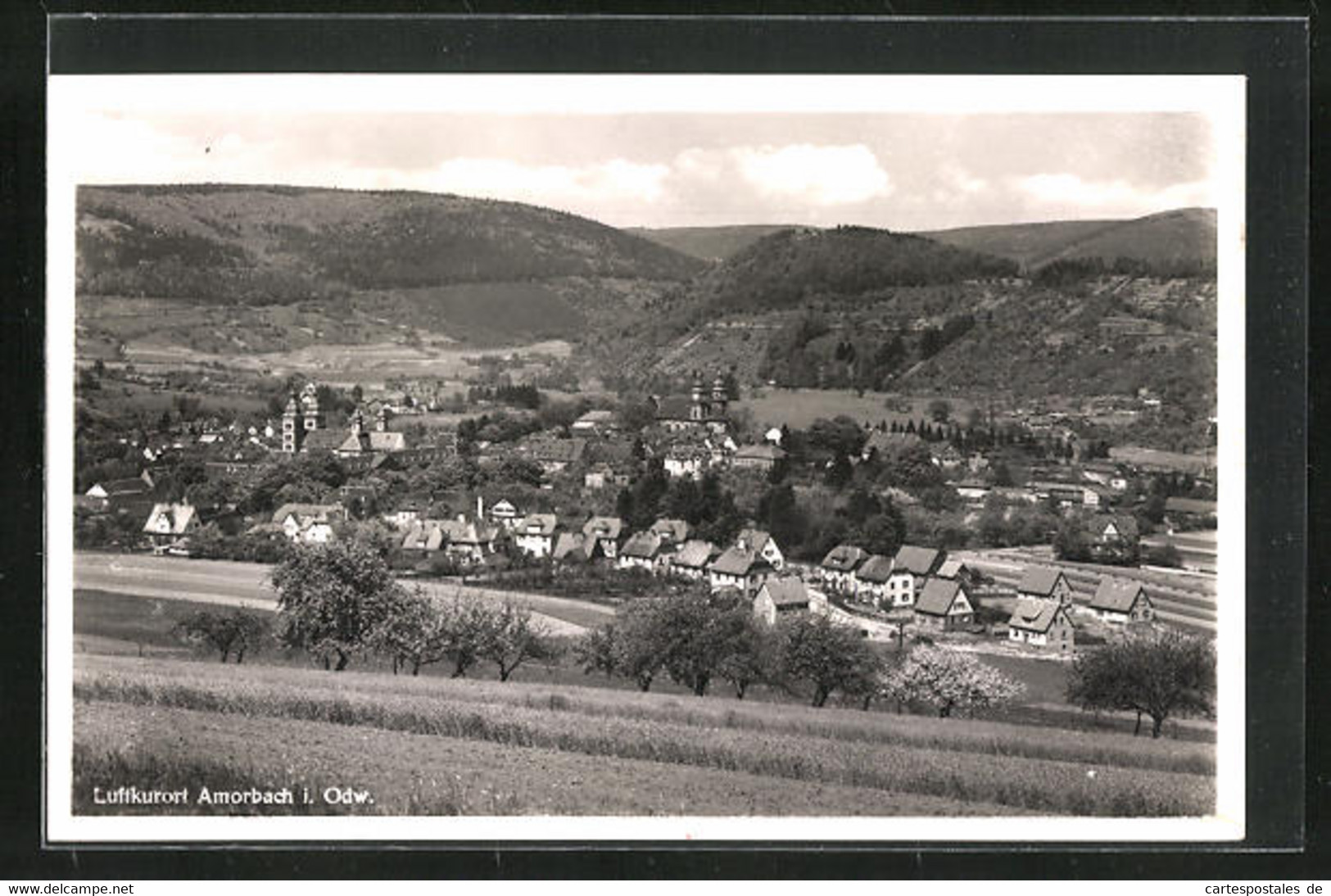 AK Amorbach / Odenwald, Blick Von Der Bergwiese Auf Den Ort - Amorbach