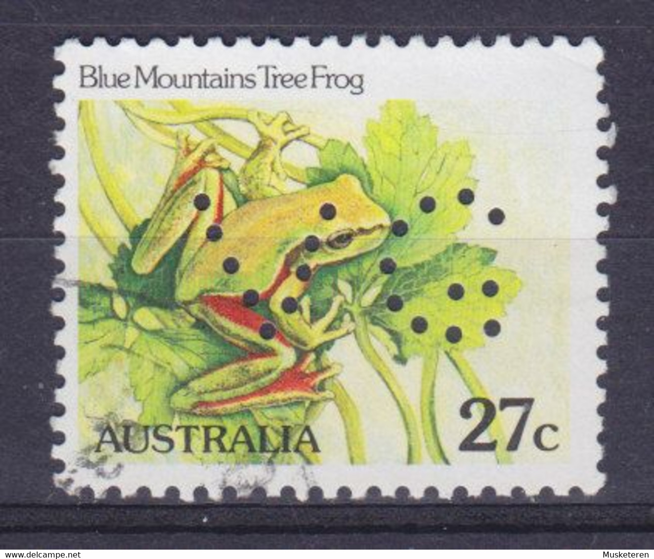 Australia Perfin Perforé Lochung 'VG' 1982 Mi. 783 A, 27c. Blue Mountain Tree Frog - Perfins