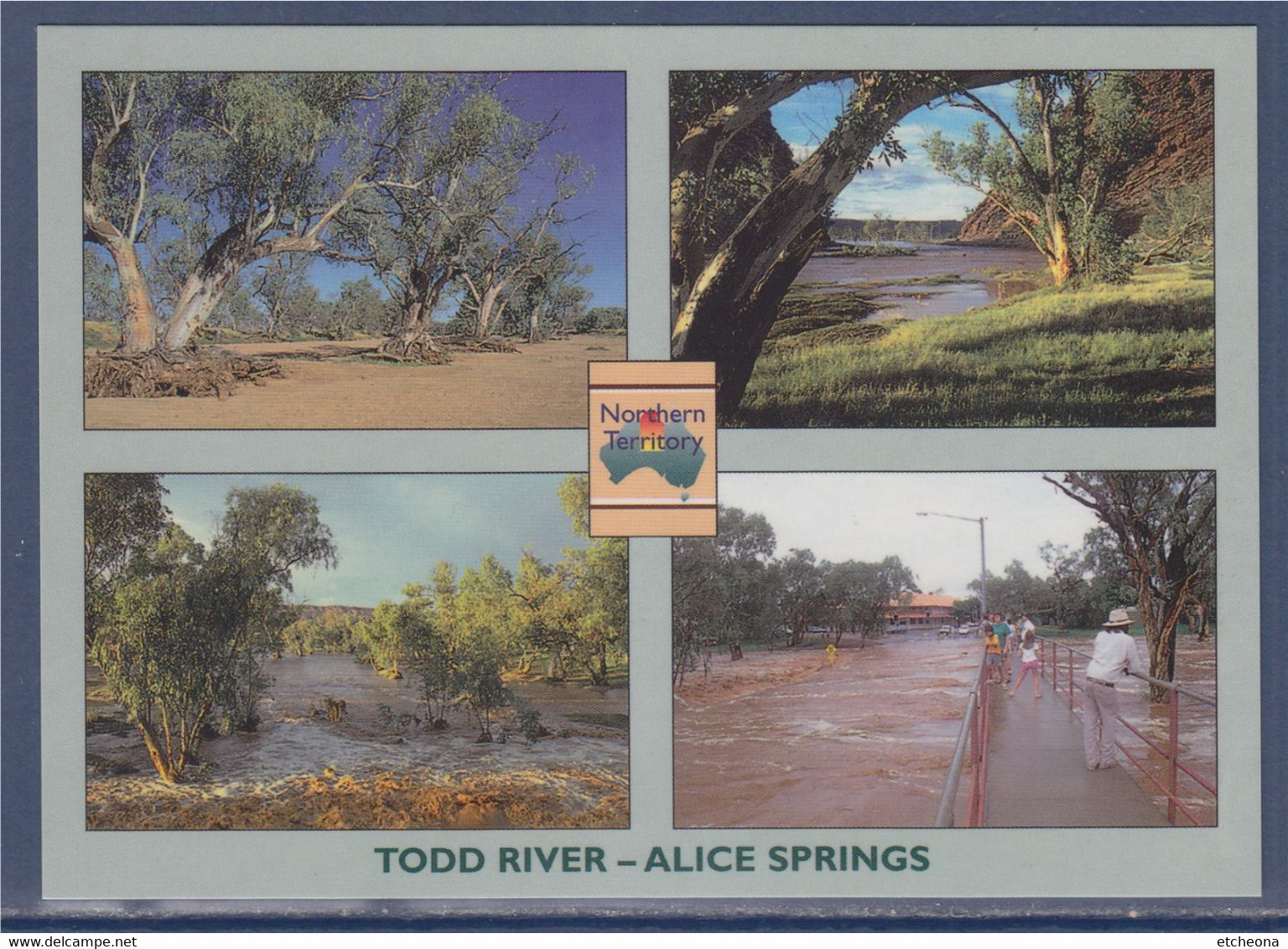 Vues De La Rivière Todd, Alice Springs,  Australie, Carte Postale Neuve - Alice Springs