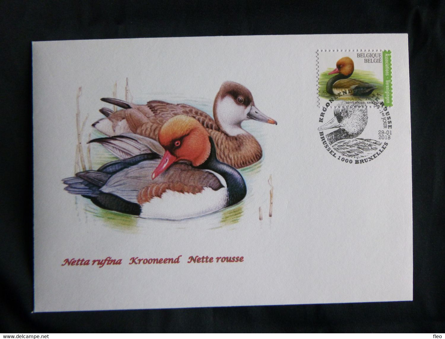 BELG.2018 FDC BUZIN Krooneend-Netta Rufina (Brus-Brux) - 1985-.. Oiseaux (Buzin)