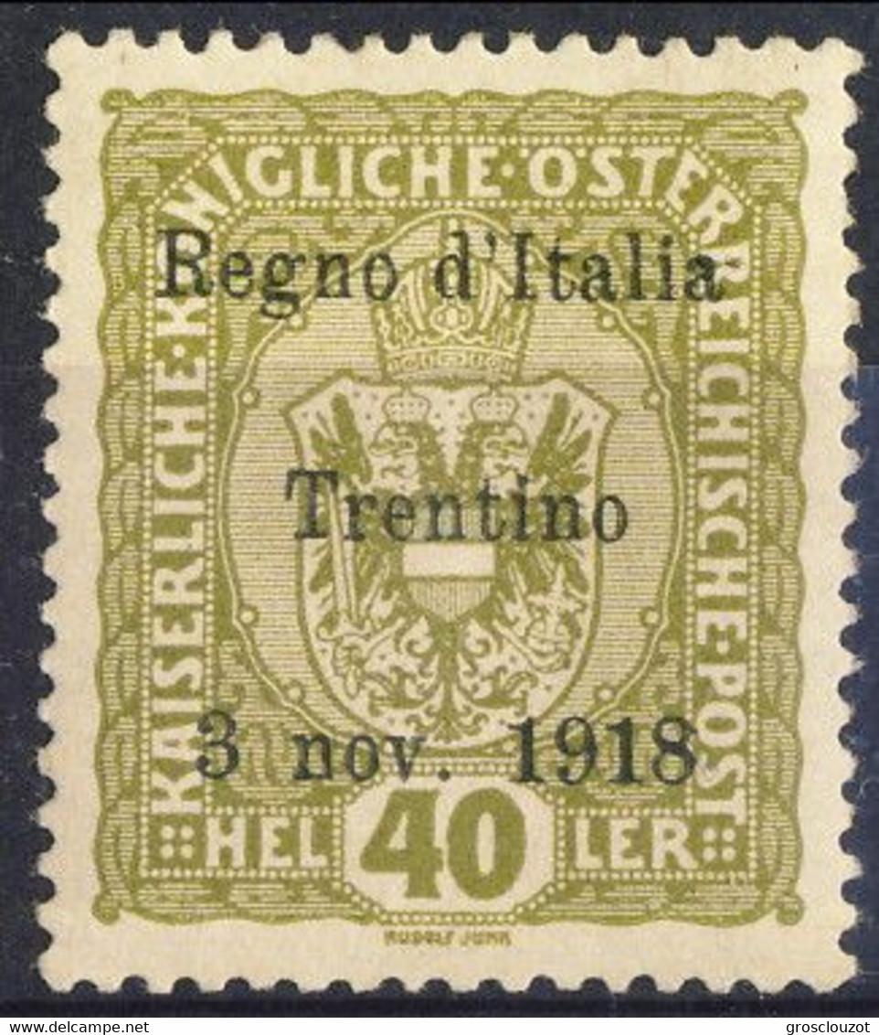 Trentino 1918 Sas. N. 10 H 40 Oliva **MNH Cat. € 240 Firmato A. Diena. G. Oliva, + Timbri Garanzia - Trento