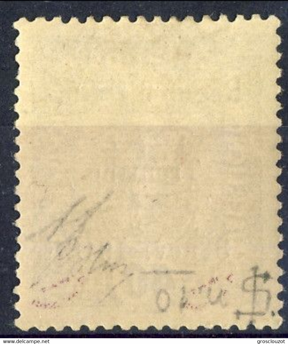 Trentino 1918 Sas. N. 10 H 40 Oliva **MNH Cat. € 240 Firmato A. Diena. G. Oliva, + Timbri Garanzia - Trentin