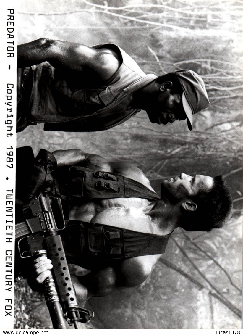 9 PHOTOS  D EXPLOITATION  / PREDATEUR / PREDATOR  / ARNOLD SCHARZENNEGER  / TWENTIETH CENTURY FOX / 1987