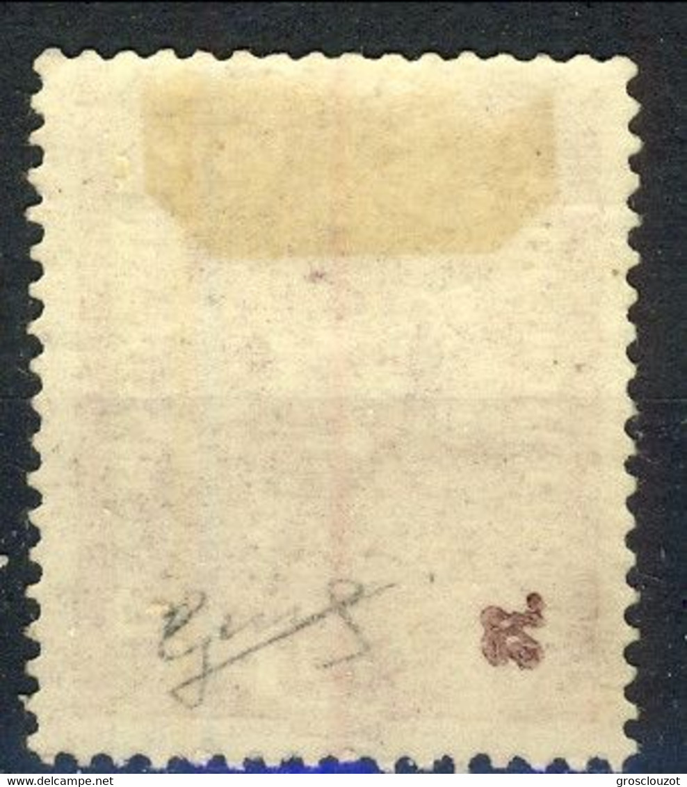 Trentino 1918 Sas. N. 13 H 80 Bruno Rosso Ben Centrato *MH Cat. € 200 Firmato Biondi + Timbro Garanzia - Trentino