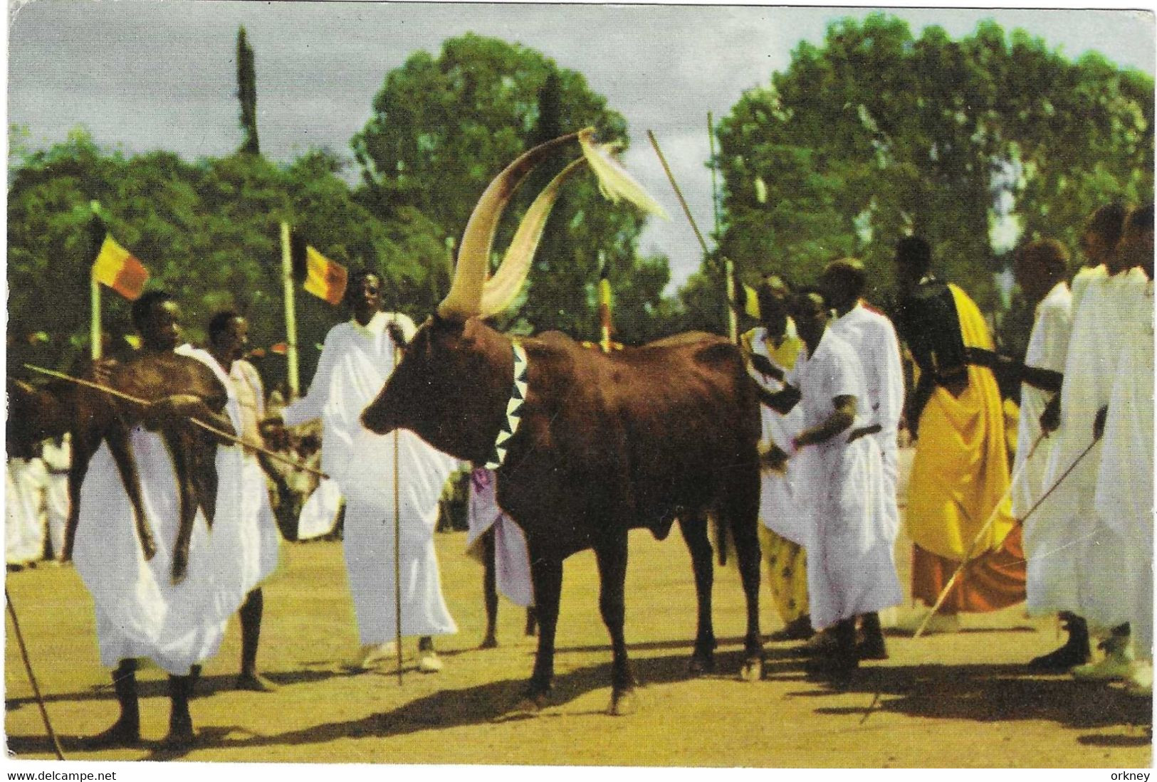 Congo  Reis Van De Koning 1955 Het Hoogste Eerbewijs Dat De Mwami Van Ruanda Aan De Vorst Kon Betuigen - Ruanda Urundi