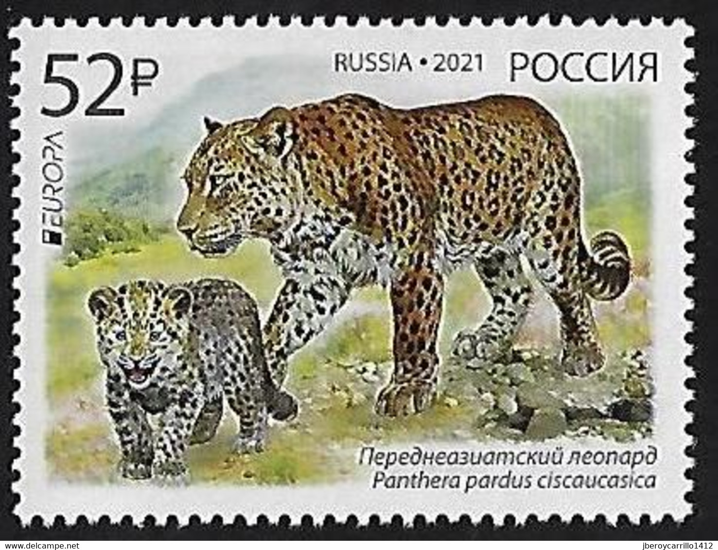 RUSIA 2020 /RUSSLAND /RUSSIA - EUROPA 2021 -"NATIONAL ENDANGERED WILDLIFE"- LEOPARD (PANTHERA).- SERIE De 1 - N - 2020