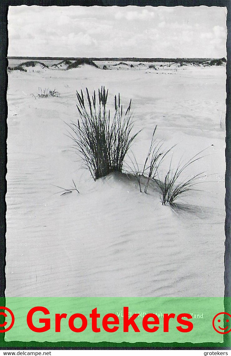 VLIELAND Helmen En Zand 1964 - Vlieland