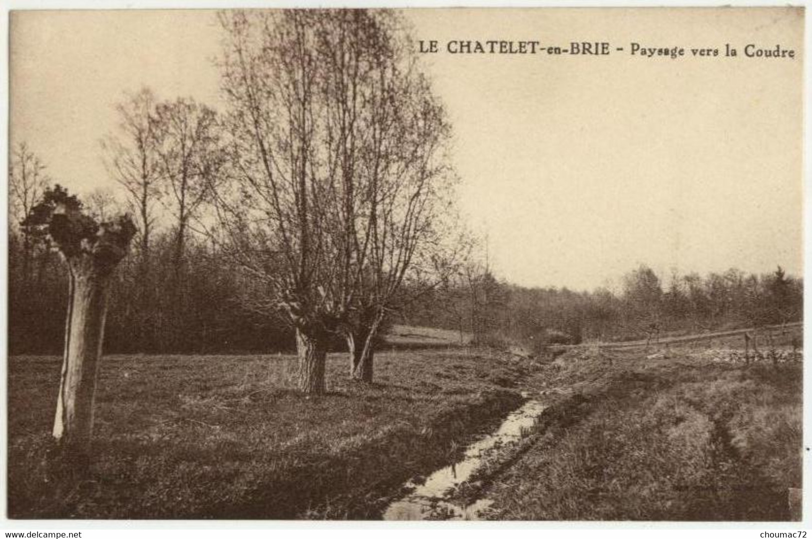 (77) 212, Le Chatelet En Brie, Combier, Paysage Vers La Coudre, Non Voyagée, TB - Le Chatelet En Brie