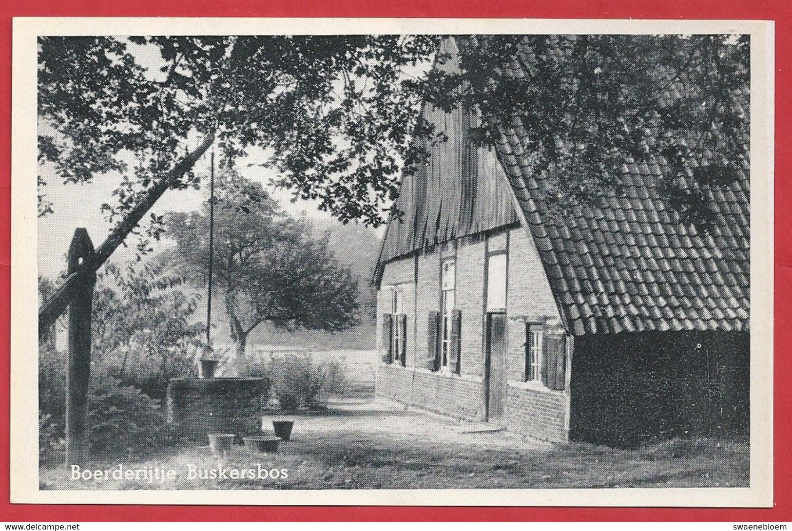 NL.- Winterswijk, Boerderij - Buskersbos -. Waterput.  Uitgave Boekhandel G.J. Albrecht. - Winterswijk